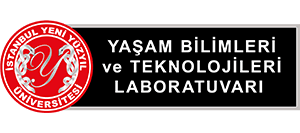 YBT